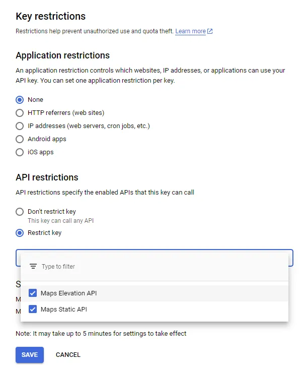 API key restrictions limited to the two Maps APIs