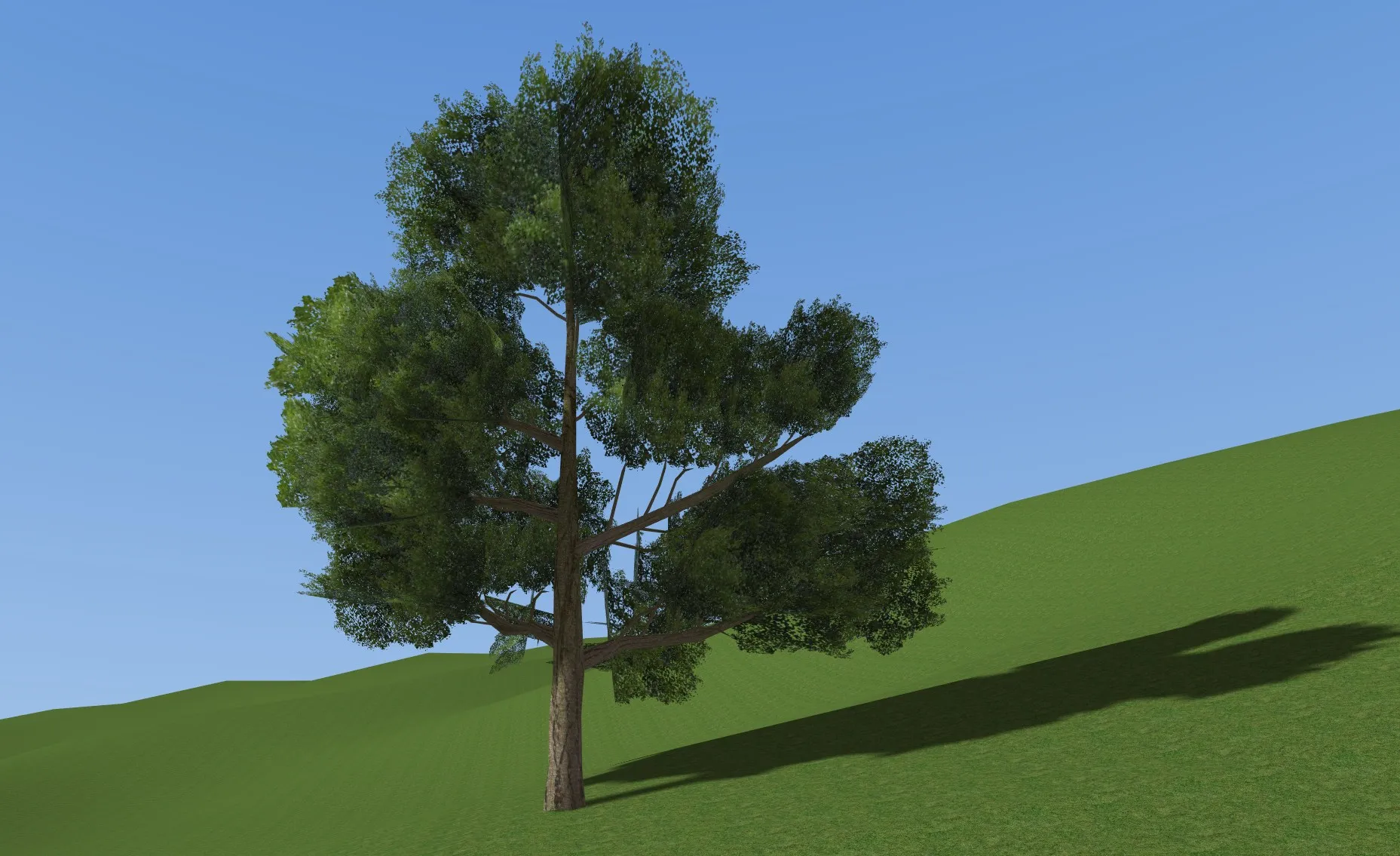 A tree built from a trunk with randomised child branches, standing on a hillside