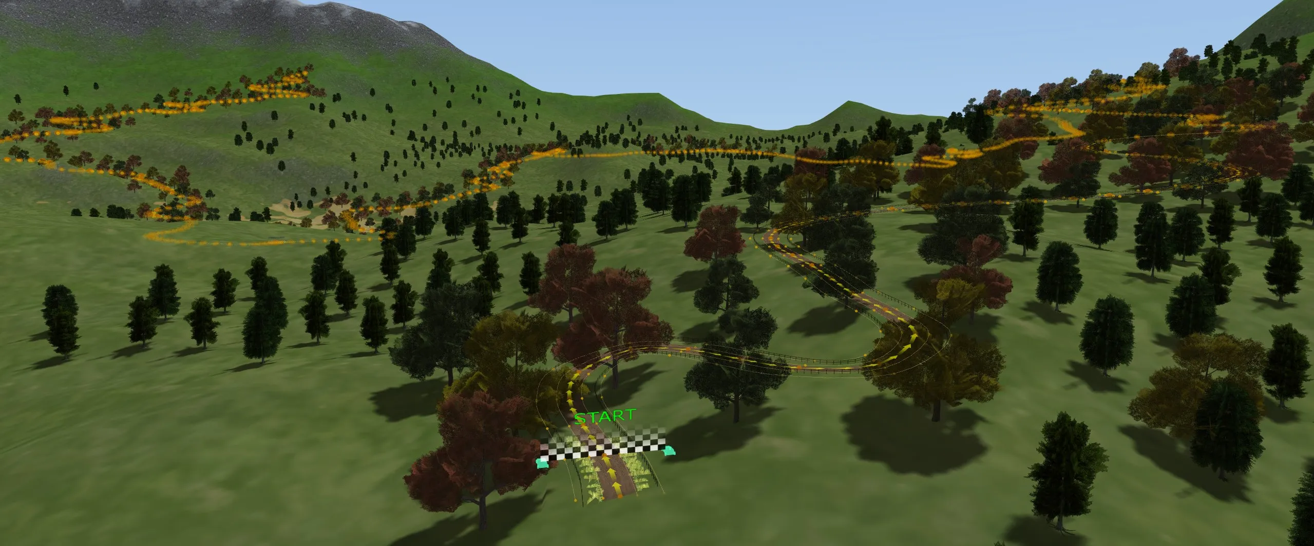 A rally stage start gate on a forest road, with the stage winding away across the hillside